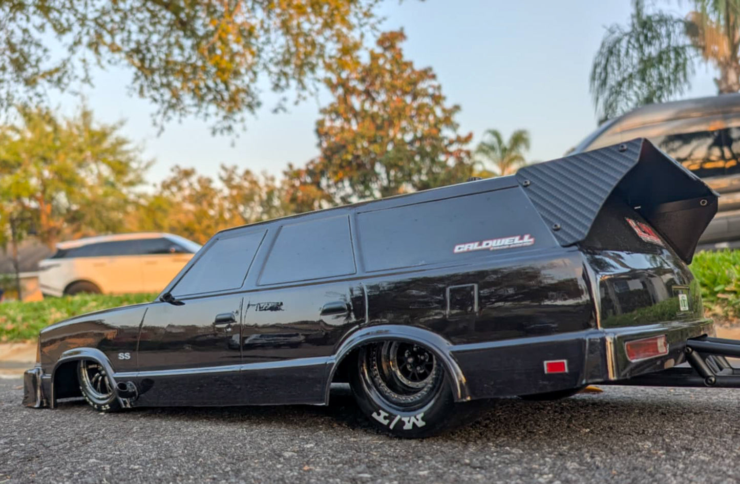 Shark Drag'n Wag'n Wing