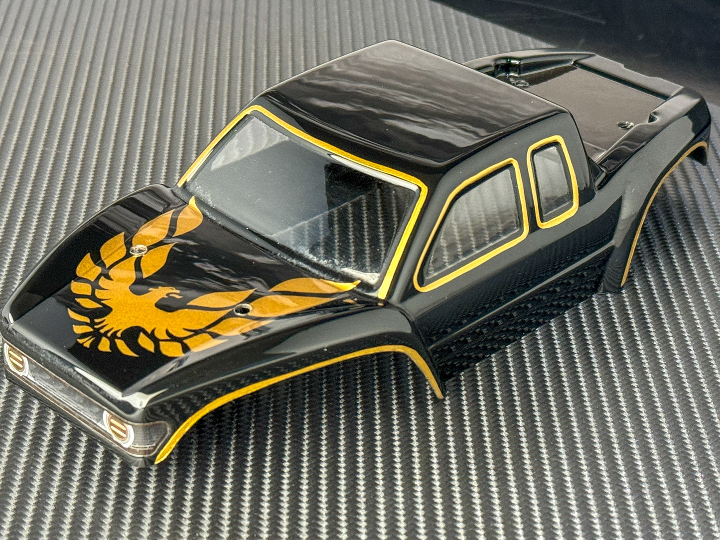 HobbyPlus EVO/EVO PRO Lizard LCG Custom Painted Body.