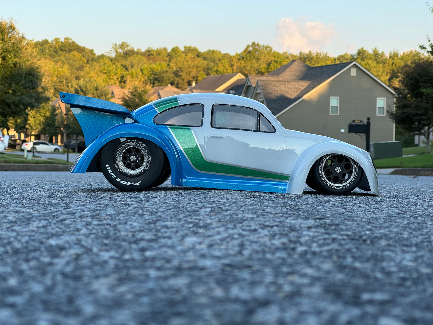 Custom Painted Proline Drag Bug with CRW wing!